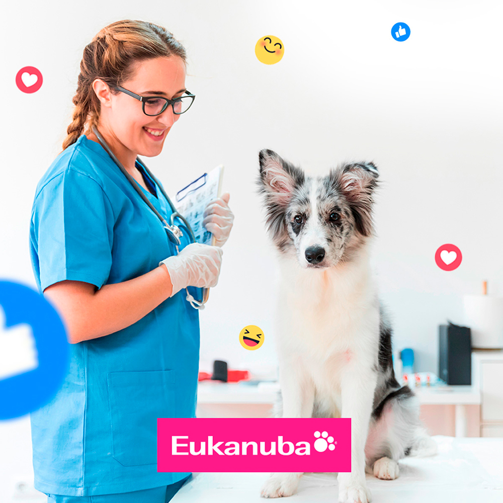 Social Media 4